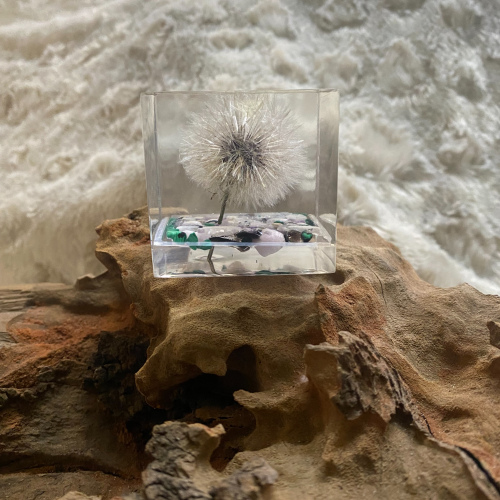 A Celestial Dandelion Enchantment Cube 